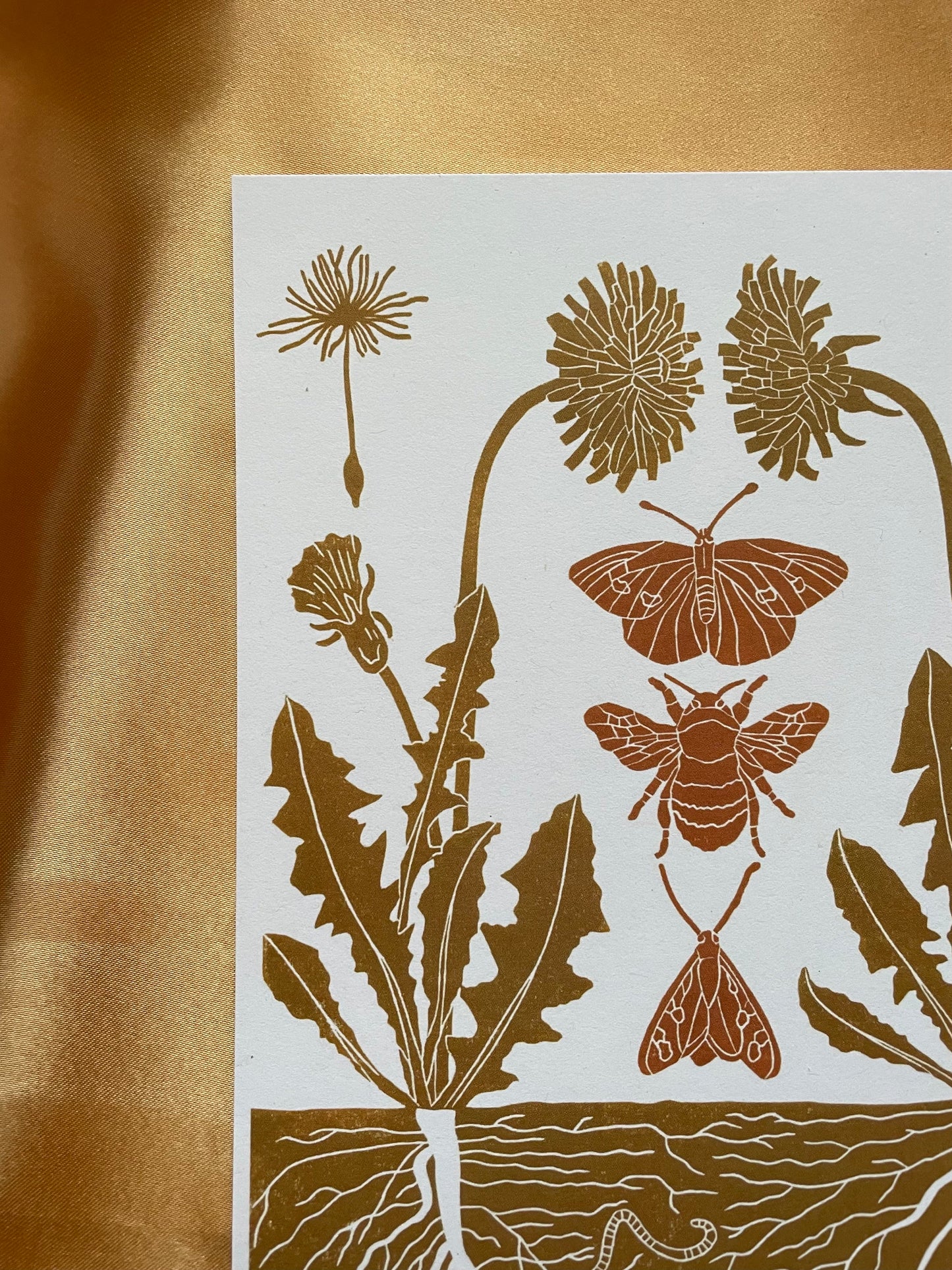 Dandelion and its Pollinators