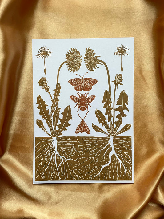 Dandelion and its Pollinators
