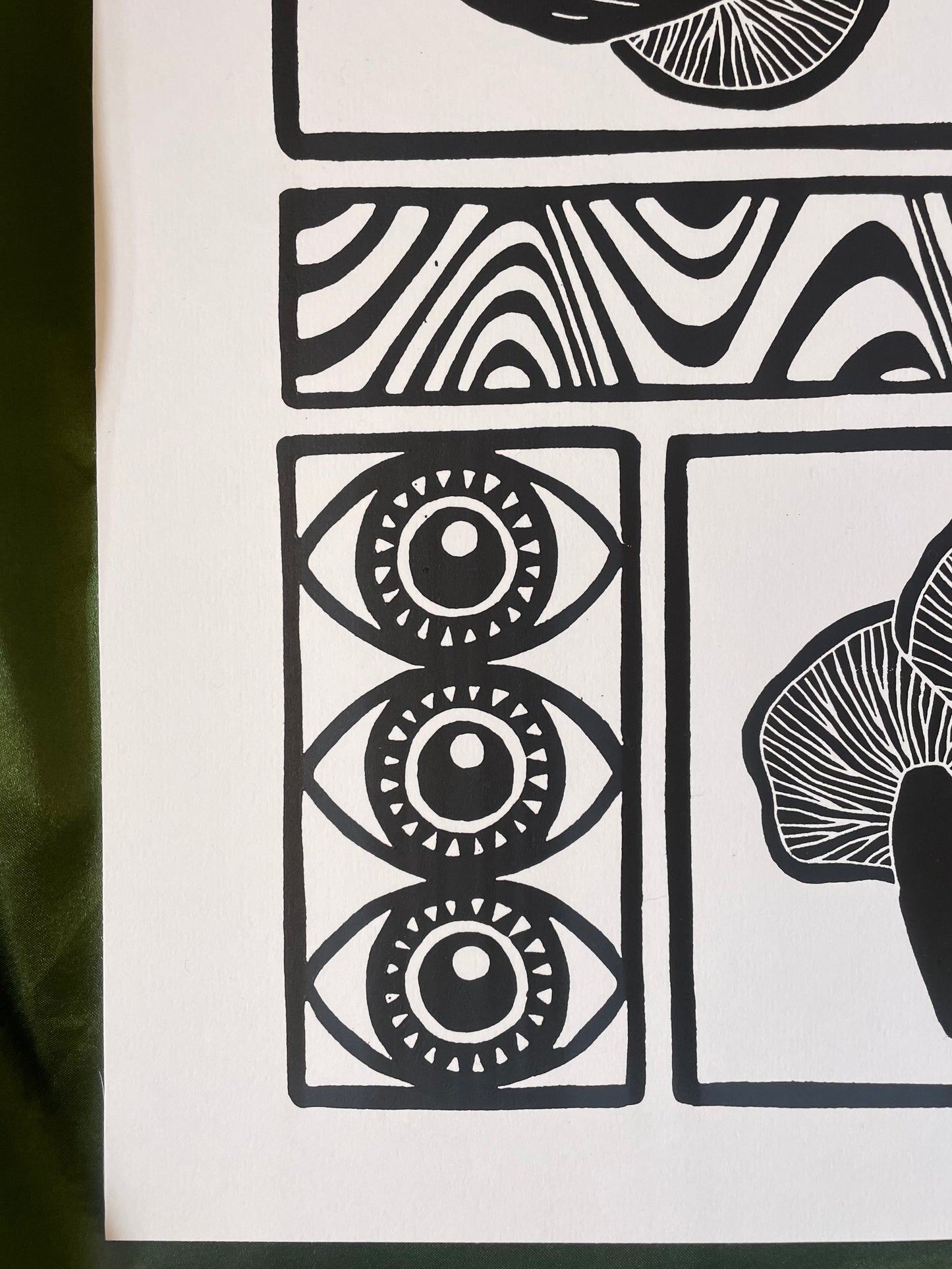 Vision of the Forest