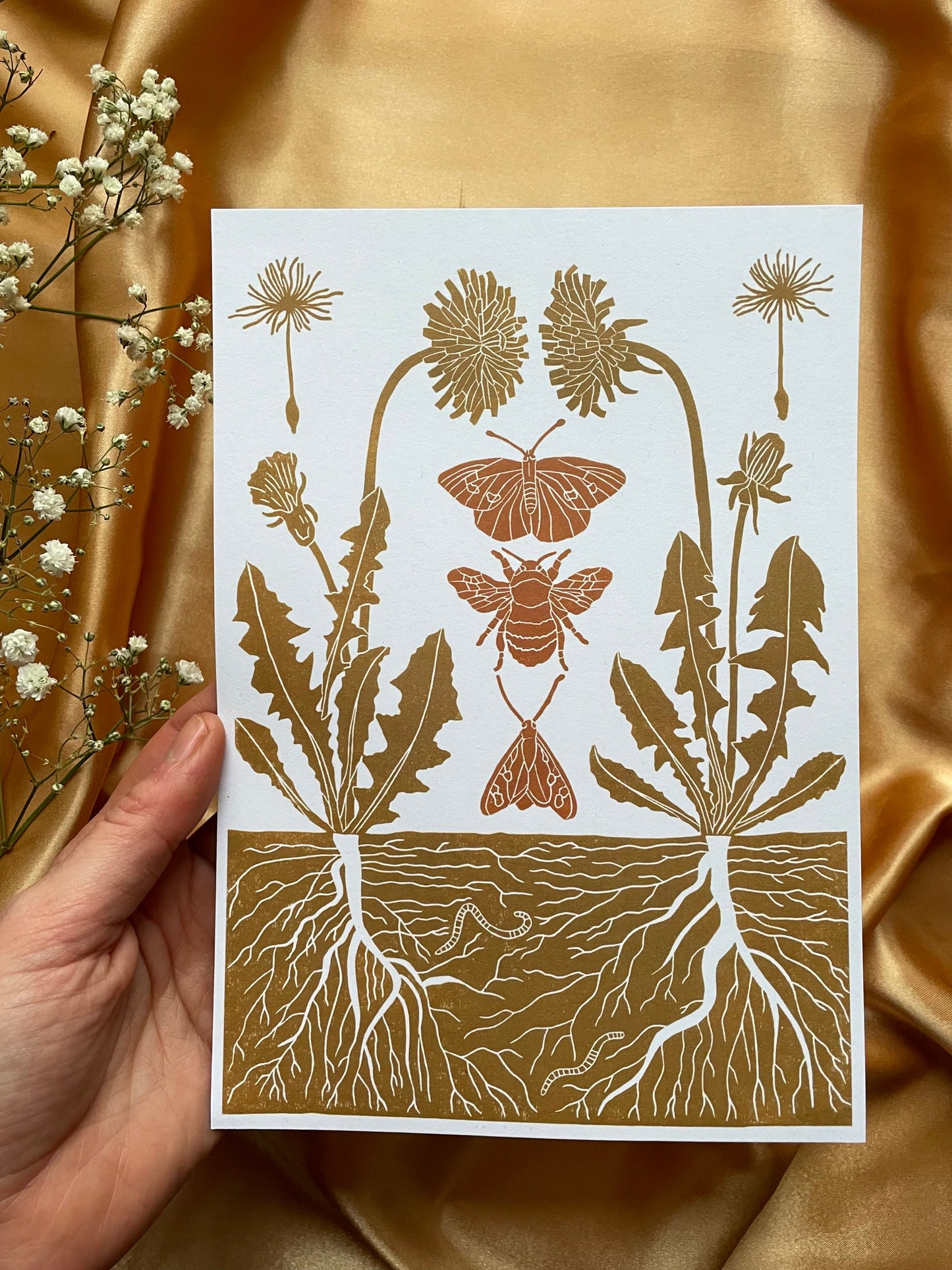Dandelion and its Pollinators