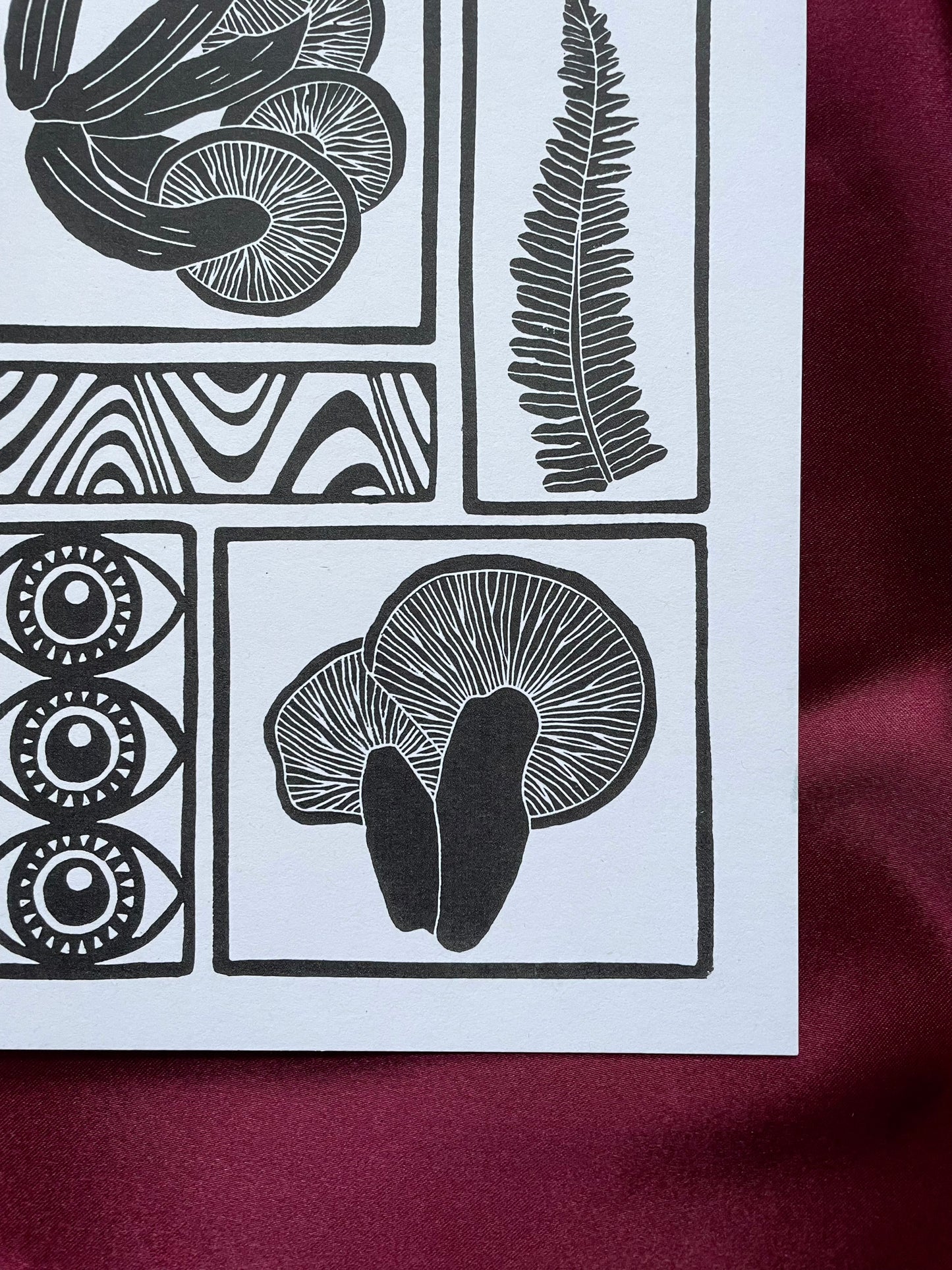 Vision of the Forest