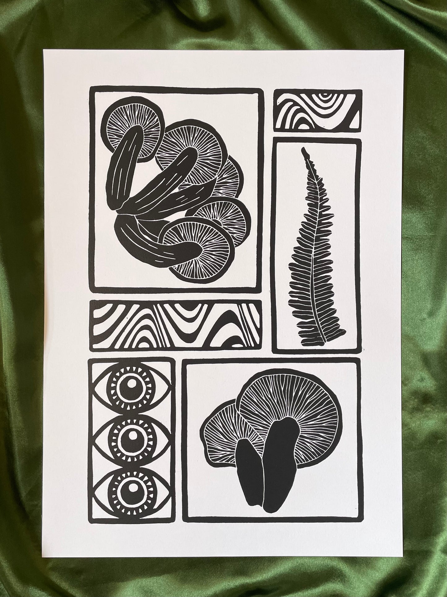 Vision of the Forest