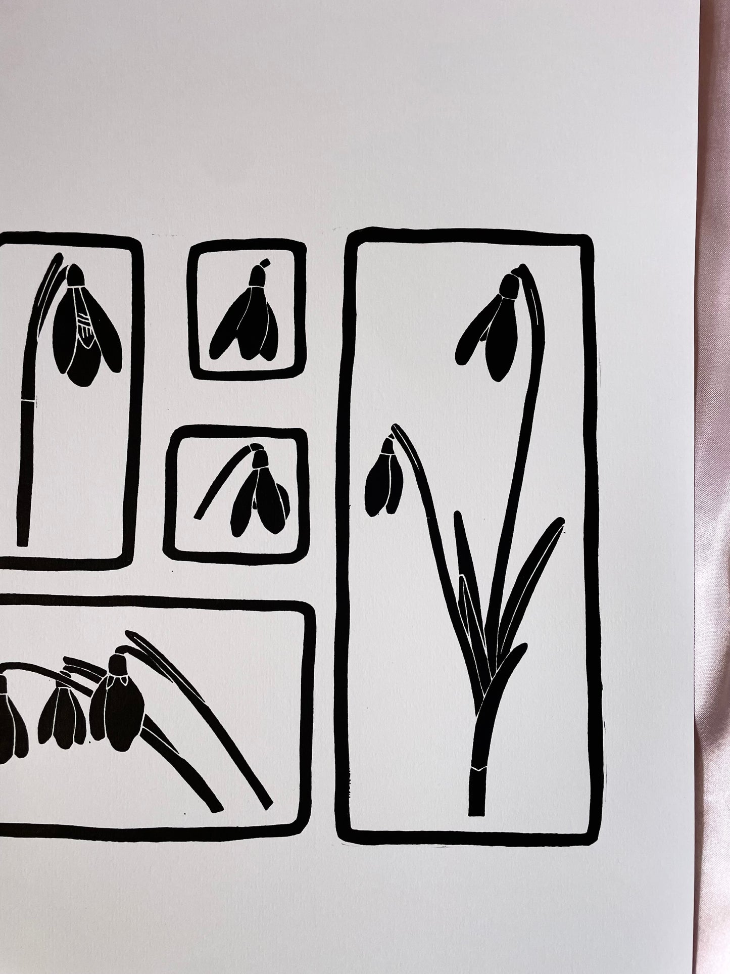 Snowdrops