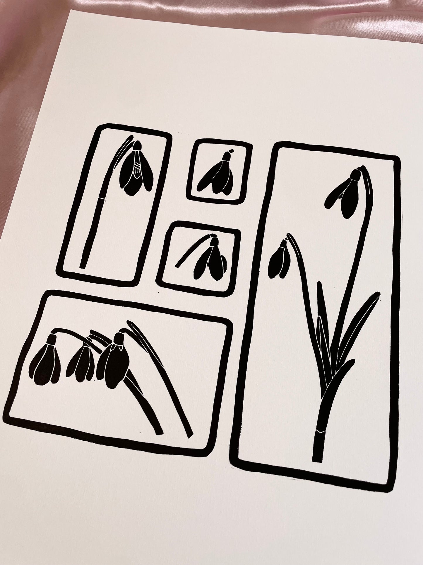 Snowdrops